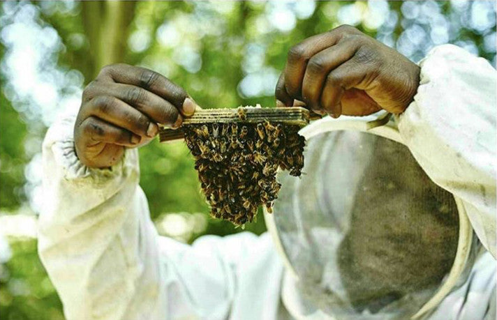 Local Honey Man