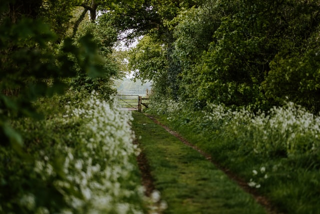 Hampshire