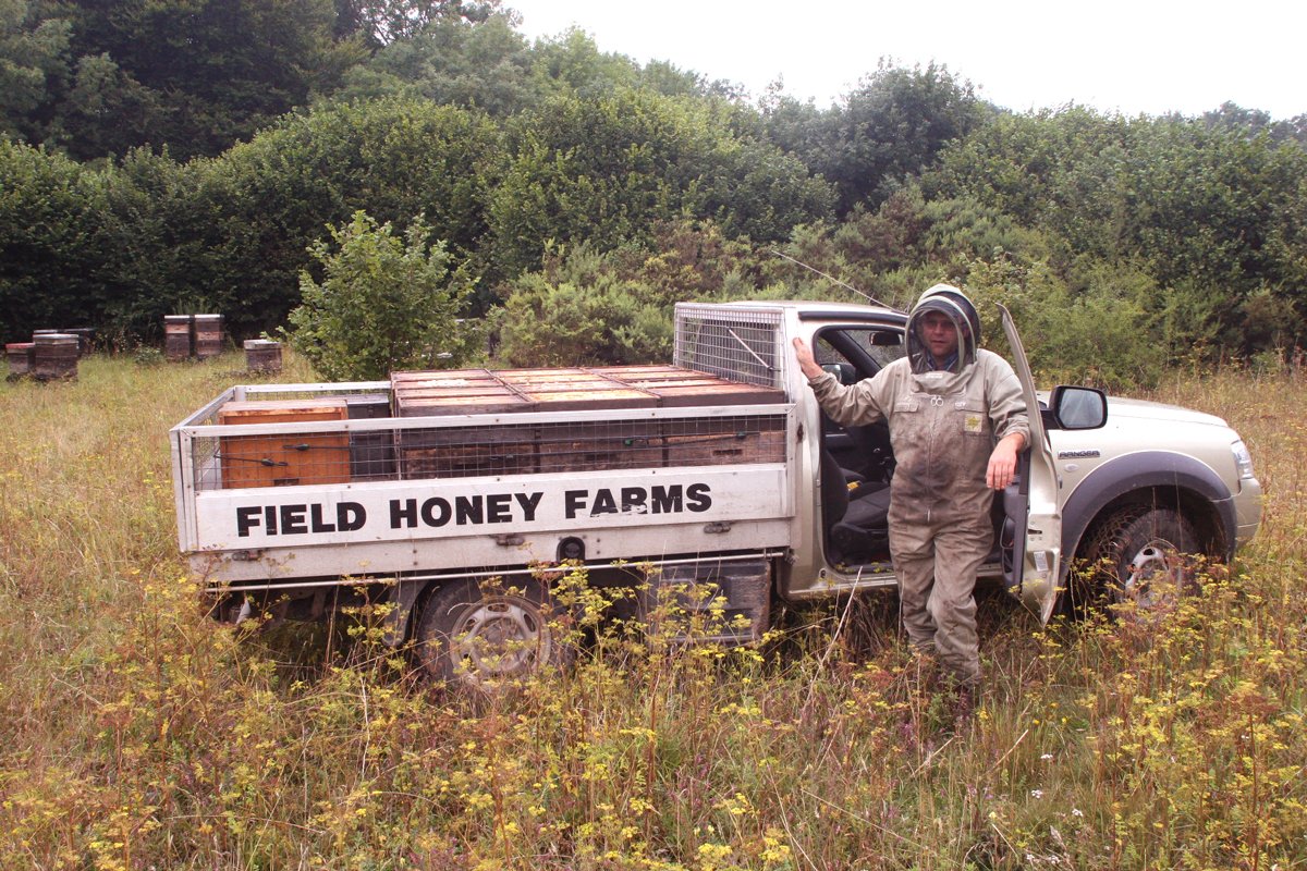 Field Honey