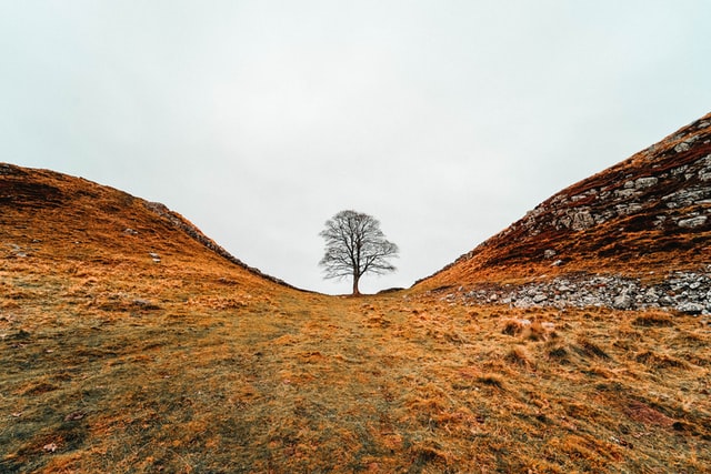 Northumberland