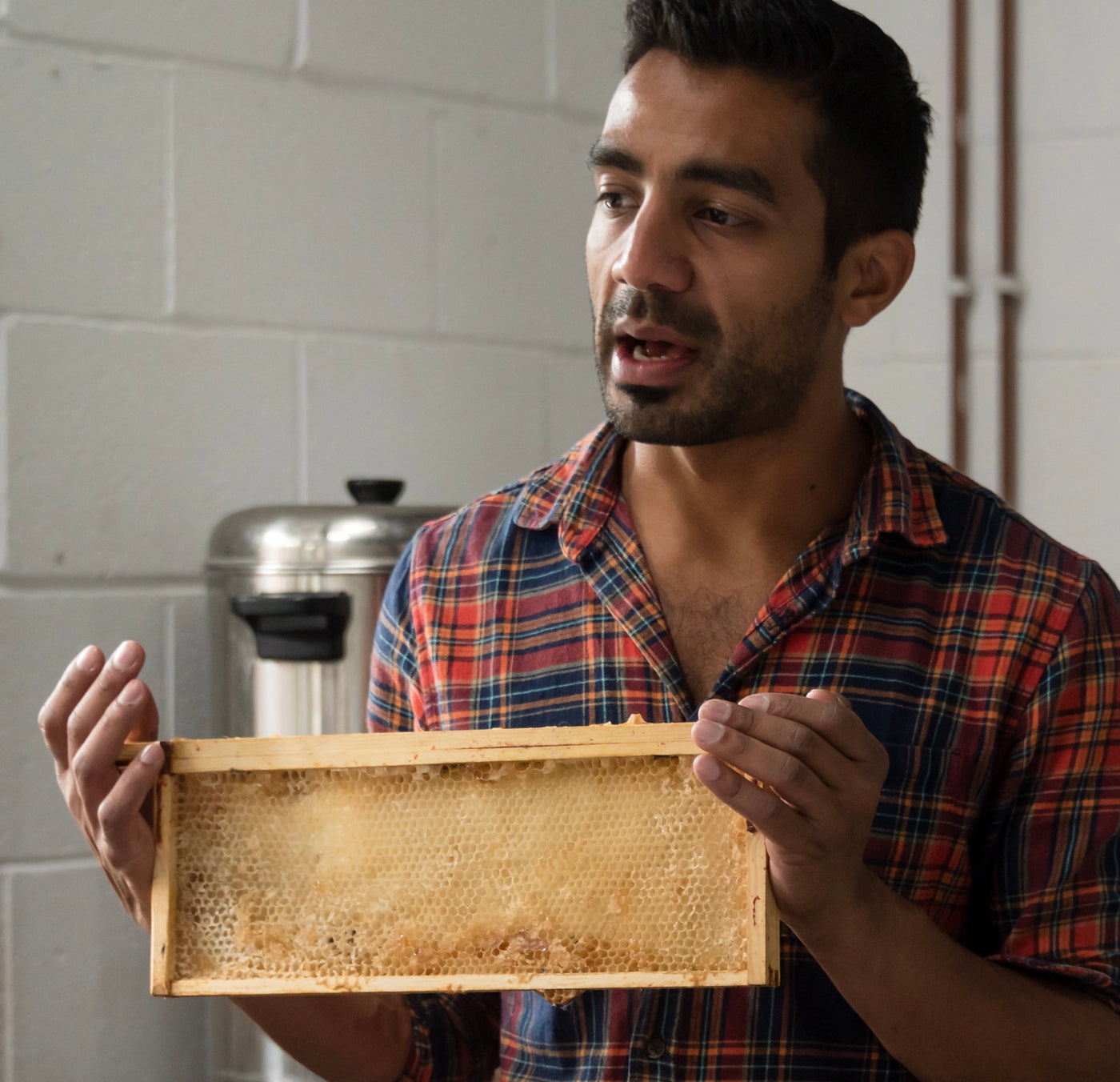 Pearly Queen Honey head beekeeper Meetal Patel