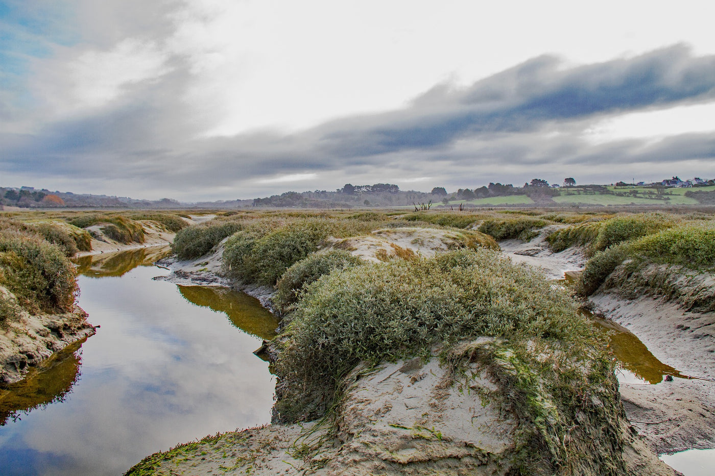 Saltmarsh